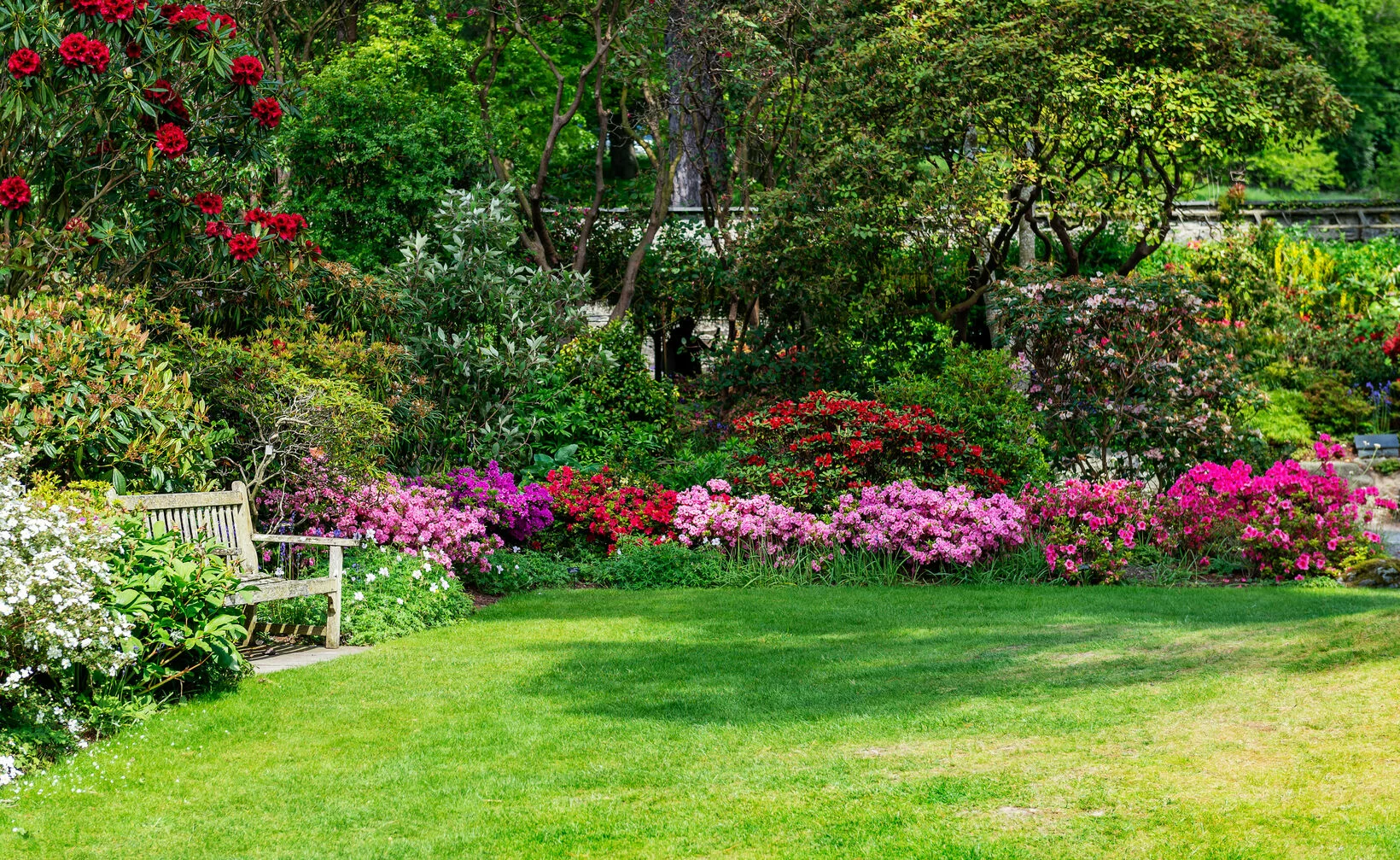 Parkbänke stehen vor einer üppigen Blumenkulisse mit Bäumen im Hintergrund